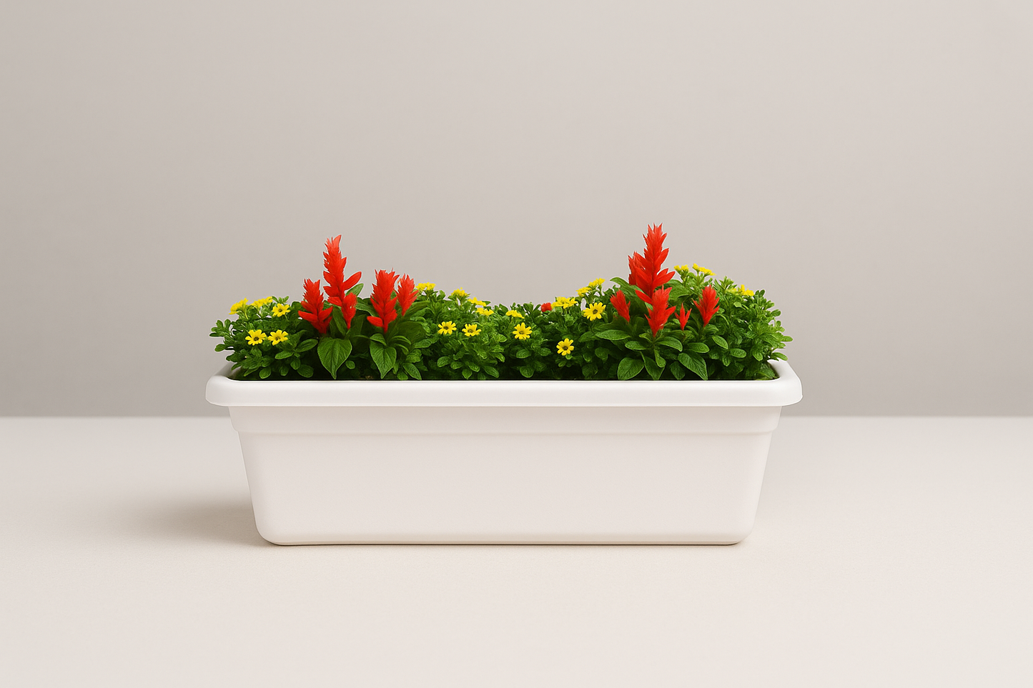 Window Platter