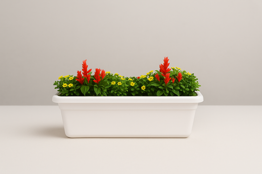 Window Platter