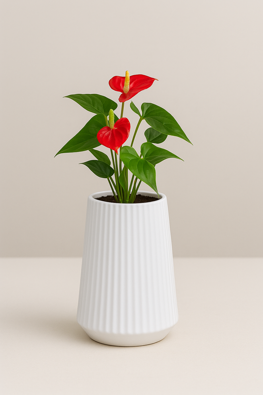 Victoria Vase