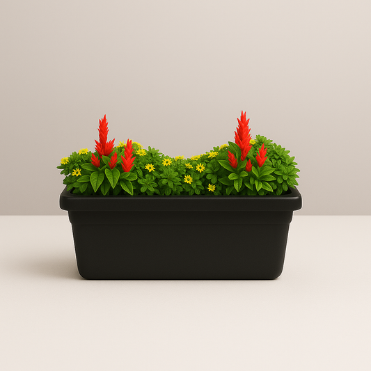 Window Platter | BLACK